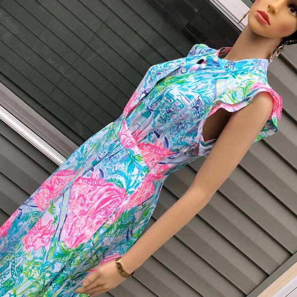 Authentic Lilly Pulitzer maxi dress - Picture 4 of 6